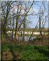 Across the chalk pits