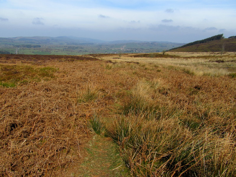 Bracken-covered moorland © John H Darch :: Geograph Britain and Ireland