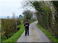 Track between Butcher Fold Farm and Ox Hey