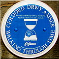 ST1189 : Abertridwr Workmen's Hall & Institute blue plaque by Jaggery