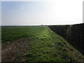 Field edge near Elton on the Hill