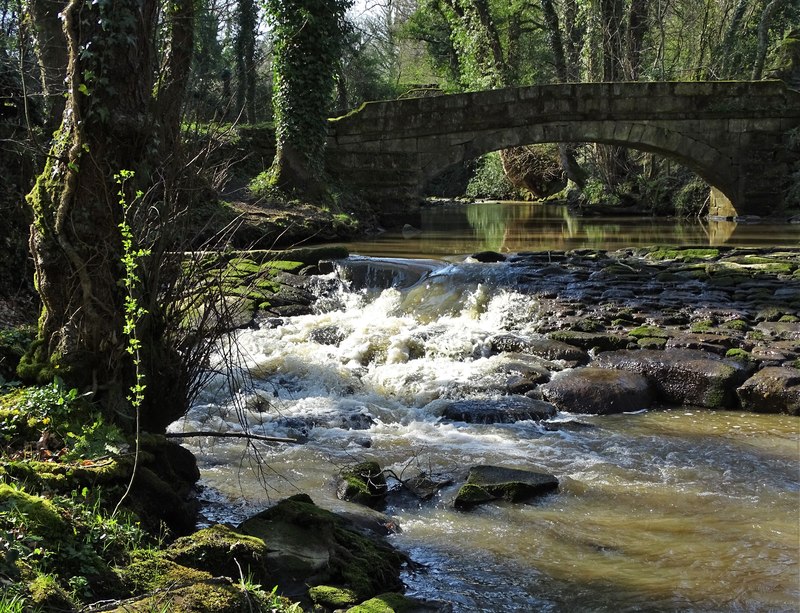 In The Rivelin Valley © Neil Theasby :: Geograph Britain and Ireland