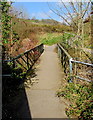 ST1189 : Cycleway bridge over a stream, Abertridwr by Jaggery