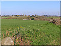 SO8398 : Staffordshire farmland by Great Moor near Pattingham by Roger  D Kidd
