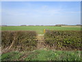 Footpath to Bottesford