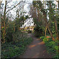 Public Footpath leading to Hall Road, Shenfield