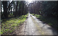 Looking down minor road that ends at STANTA boundary