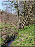 SO8398 : Nurton Brook east of Pattingham in Staffordshire by Roger  D Kidd
