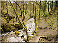 Dearden Brook from Plunge Mill