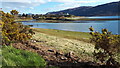 Ullapool River