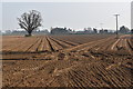 Cultivated field south of Park Farm, Wherstead