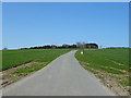 Road (footpath) to Larden Grange