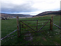 Gate into the field at Kilbraur