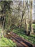 SO8398 : Nurton Brook east of Pattingham in Staffordshire by Roger  D Kidd