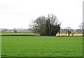 SE7178 : Across fields near Glebe Farm by Gordon Hatton