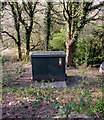 Dark green cabinet below Thomas Street, Abertridwr