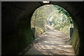 Under Balcombe Road Bridge