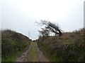 Farm track to Staddon