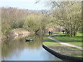 Dudley Canal and toll island