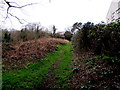 Track above Five Locks Road, Cwmbran