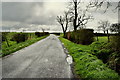 H5170 : Drumeen Road, Lisboy by Kenneth  Allen