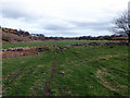 Path crossing farmland beside The River Brora