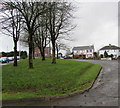 Deciduous trees on a Grove Park green, Cwmbran