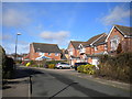 Braunston Close, Walmley (1)