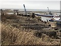 Disused Railway, Seaham Harbour