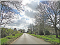 Entering Ashill on Hale Road