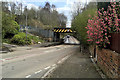 Railway Bridge, Islands Brow