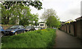 Luxuriant verge, Barton Road