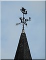 Weather vane, former town hall, Earlsferry