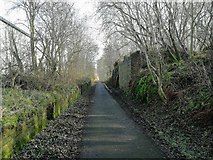 NS8192 : Cycleway, Stirling by Euan Nelson
