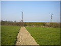 Public footpath south west of Bilsthorpe (3)