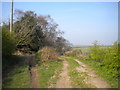 Dividing track south west of Bilsthorpe