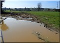 Flooded field gateway leading from the A50