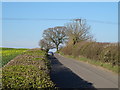 Heading north east towards Bettonfield and Shrewsbury