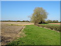 Field beside drain near Bettonfield