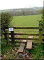 Stile to a public footpath from the A470, Libanus, Powys