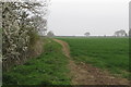 Footpath to Pavenham