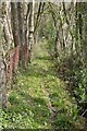 Narrow footpath and stream near Oak Bank Farm