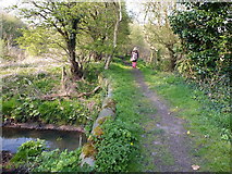 SJ6587 : Path from Thelwall Old Post Office to the Manchester Ship Canal by Gary Rogers
