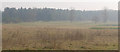 TL7893 : Panoramic view across heath by David Pashley