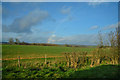 West Oxfordshire : Grassy Field