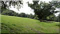 Approaching woodland near Hawkmoor Hill