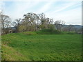 Weobley Castle (Ringwork)