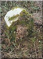 Old Milestone by the A365, Devizes Road, Box