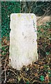 Old Milestone by the B4022, Charlbury Road, Finstock