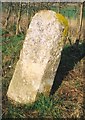 Old Milestone by the A338, Shalbourne